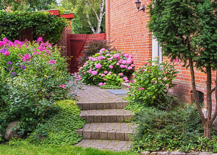 TIPS FENG SHUI: Ini 4 Tanaman Hias Pengusir Aura Negatif di Rumah Anda