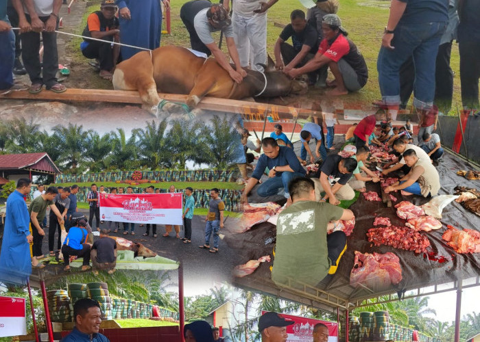 Bagikan Daging Kurban, Wujud Bhakti Satbrimob Polda Sumsel Batalyon B Pelopor Kepada Masyarakat