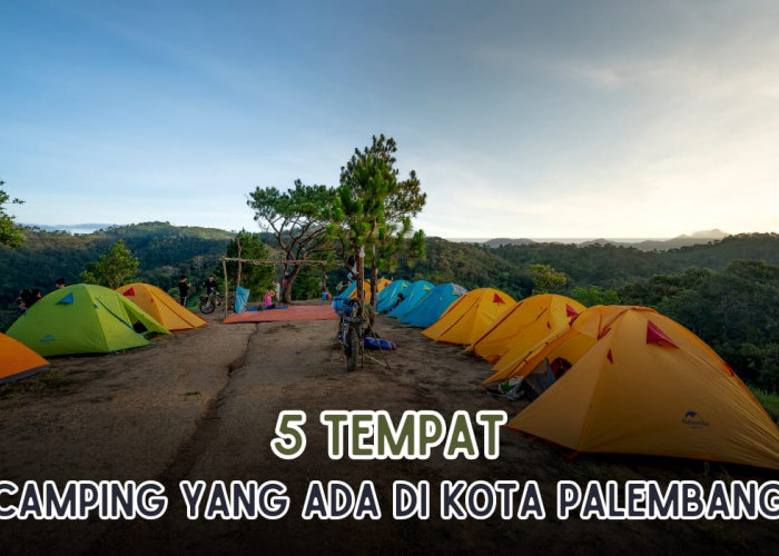 Tempat Camping di Palembang, Hamparan Rumput Menghijau dan Asri Bikin Betah