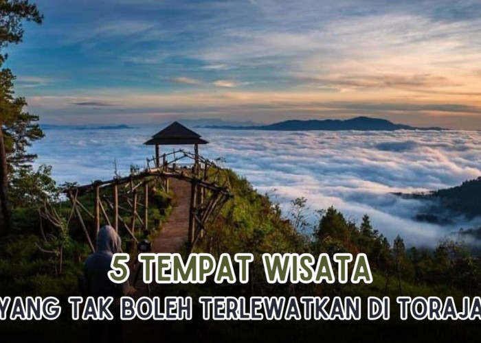 5 Tempat Wisata Terbaik di Toraja yang Gak Boleh Terlewatkan, Mirip Negeri di Atas Awan 