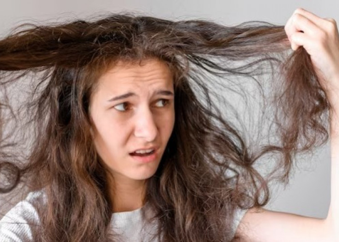 5 Cara Ampuh Mengatasi Rambut yang Kering, Dijamin Auto Halus dan Lembut