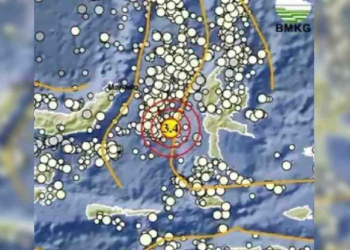 Update BMKG, Pagi Ini Gempa Guncang Ternate Maluku Utara, Tak Berpotensi Tsunami