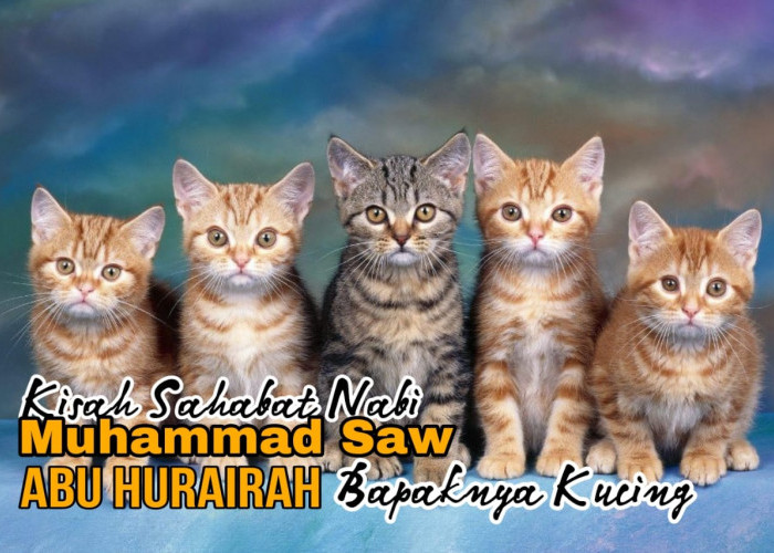 Mengenal Sahabat Nabi Abu Hurairah, Bapaknya Kucing