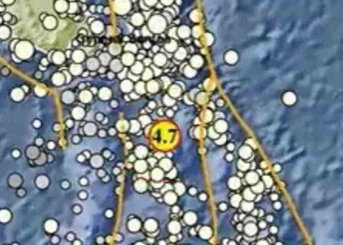 Gempa Magnitudo 4,7 Guncang Melonguane pada Kedalaman 29 Km, Tak Berpotensi Tsunami