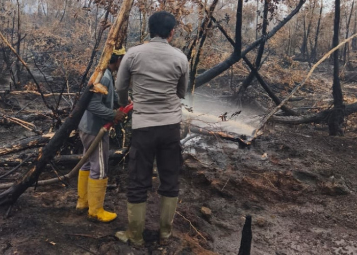 Lima Hektare Hutan Produksi Terbakar di Desa Karang Agung Lalan