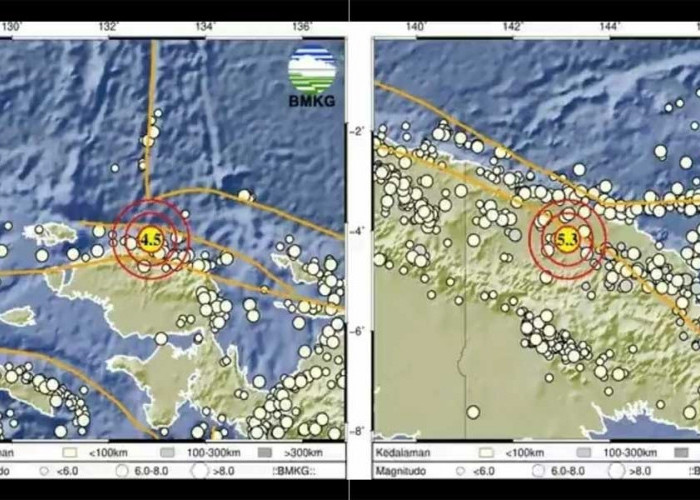 Siang Ini Gempa 4.5 M Guncang Tambraw Papua Barat Daya, Tak Berpotensi Tsunami