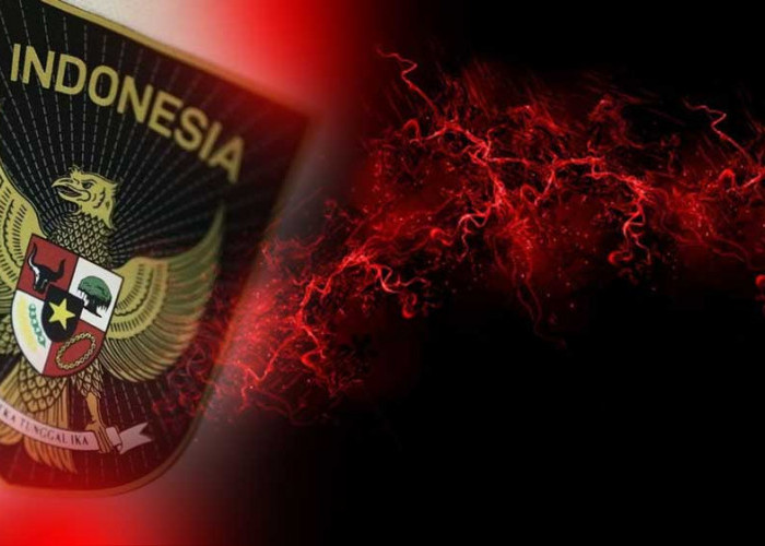 Daftar Pemain yang Menolak Dinaturalisasi Timnas Indonesia, Siapa Saja Mereka?
