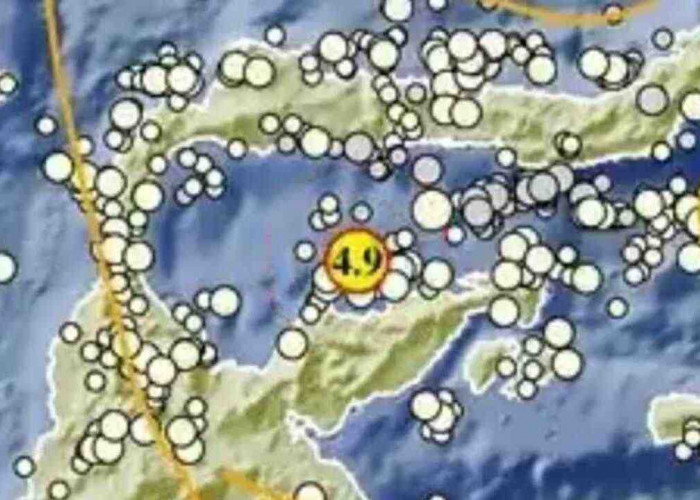 Pagi Ini Gempa M4,9 Guncang Tojo Una-Una, BMKG Catat Sejumlah Gempa di Beberapa Daerah