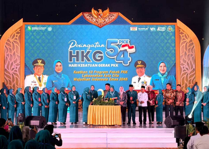 Sinergi Bank Sumsel Babel: Suntikan Dana KUR Rp8,45 Triliun Perkuat Ekonomi Kreatif Sumsel