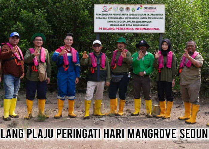 Sambut Hari Mangrove Sedunia 2026, Kilang Plaju Ubah Hutan Desa Sungsang Jadi Benteng Karbon dan Ekowisata