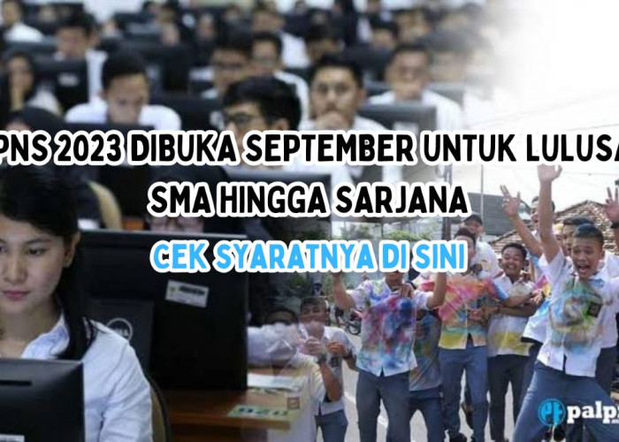 INFO! Pendaftaran CPNS 2023 Dibuka September, Butuh 1,6 Juta Pegawai, Cek Syaratannya di Sini!