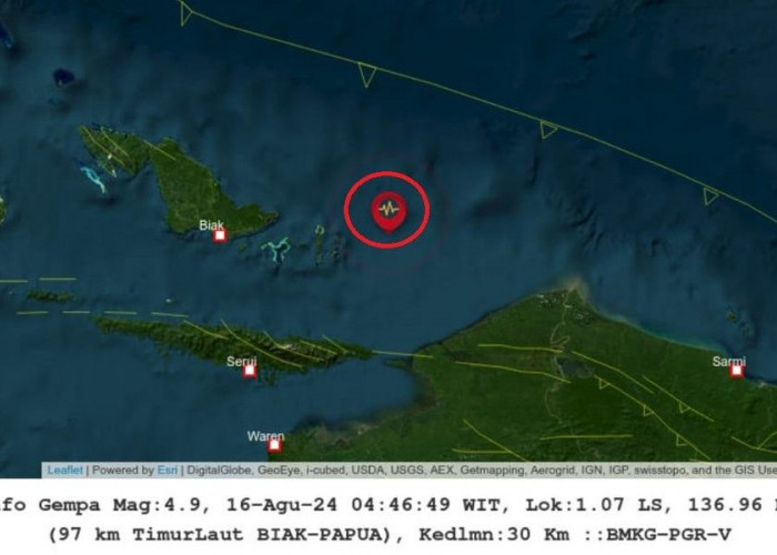 Pagi Ini Gempa 4.9 M Terjadi di Biak dan Merauke Papua, Tak Berpotensi Tsunami