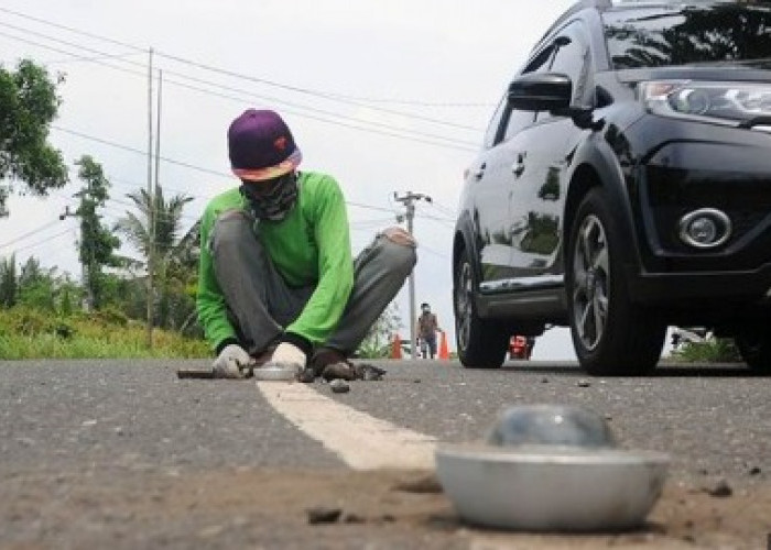 Jarang Diketahui! Inilah Fungsi 'Mata Kucing', Penjaga Keselamatan di Malam Hari