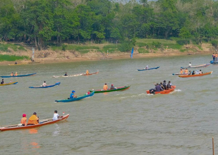 Puluhan Nelayan Adu Kecepatan Lomba Balap Perahu Ketek HUT Republik Indonesia ke-79 di Sungai Musi