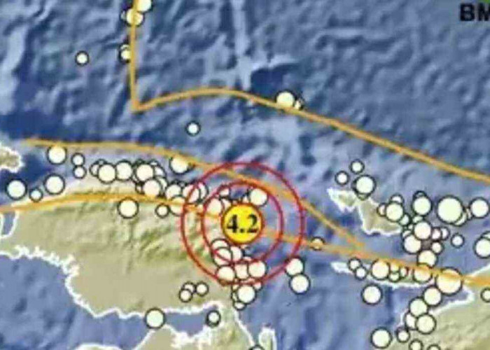 Gempa Bumi Guncang Manokwari Selatan Papua Barat, Segini Kekuatannya