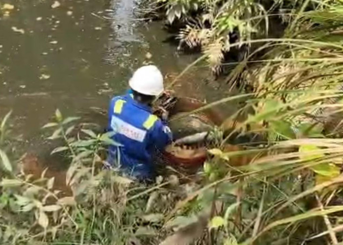 Diduga Bocor dari Tangki Minyak SRMD, Sungai dan Sumur Warga Belani Tercemar