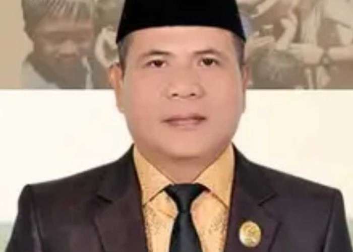 Tolak TKA di PT SPF, Anggota DPRD Ogan Ilir Huzaimi Agendakan Sidak Lapangan