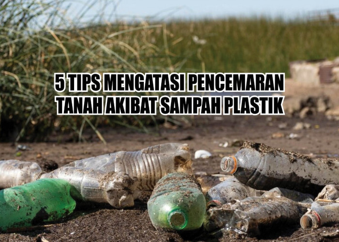 Buat Lingkungan Jadi Lebih Bersih! Ini 5 Tips Mengatasi Pencemaran Tanah Akibat Sampah Plastik