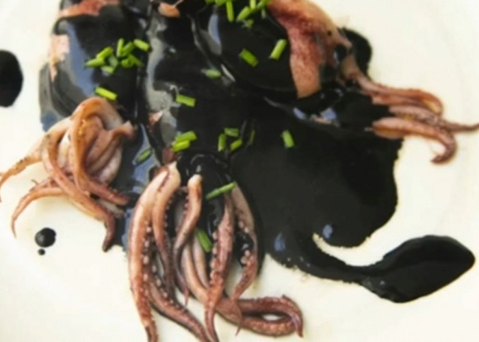 SIMAK! Ini Deretan Manfaat Tinta Cumi-Cumi Untuk Kesehatan