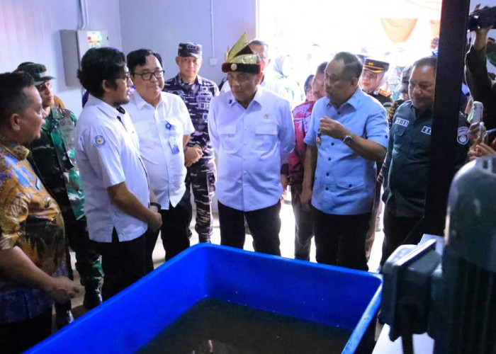 Dampingi Menko Polkam ke Banyuasin, Cik Ujang Usulkan Pembangunan Kampung Nelayan di 7 Daerah Sumsel