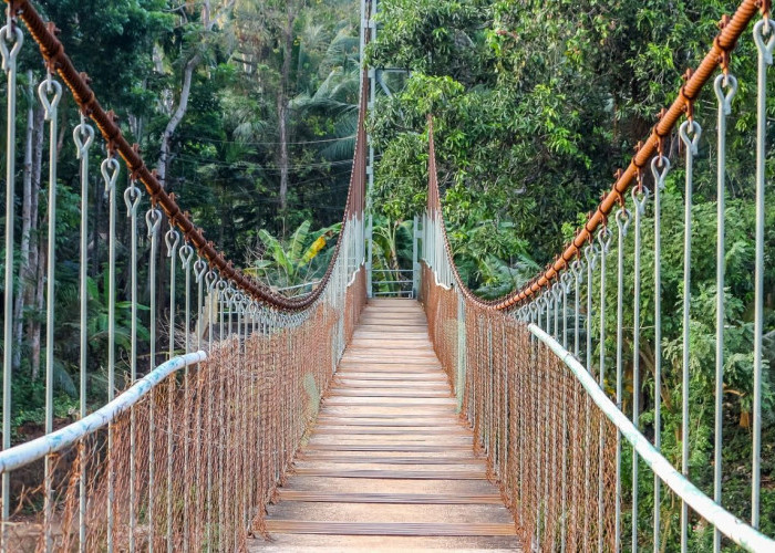 Inilah Jembatan Gantung Terpanjang di Asia Tenggara, Kini Jadi Objek Wisata Menarik di Bandung, Pernah Kesana?