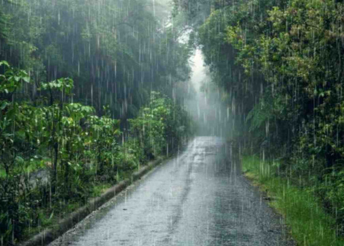 Hujan Nyaris Merata di Sumsel Hari Ini, Cek Prakiraan Lengkap dari BMKG