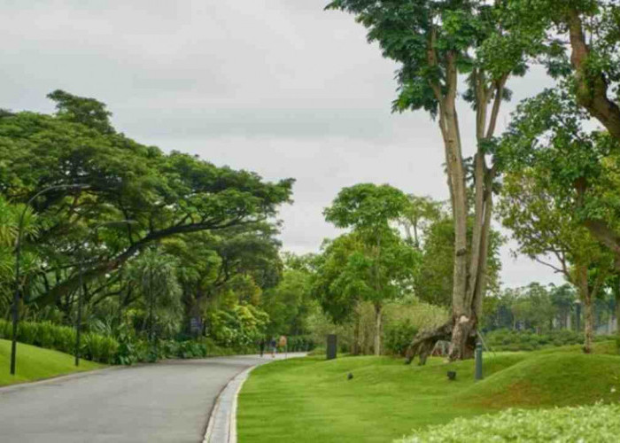Ada Taman Unik di Papua Barat, Namanya Jokowi-Iriana dan Jusuf Kalla