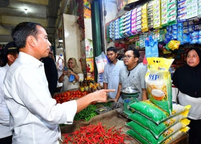 Jokowi Sidak Harga Pangan di Pasar Gelugur Rantauprapat, Bentuk Perhatian Pemerintah 