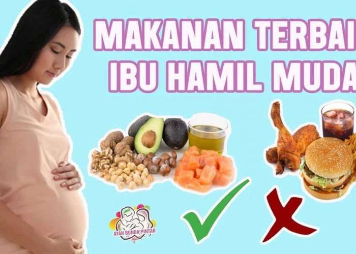 4 Makanan Ini Penting Bagi Ibu Hamil, Kaya Asupan Gizi Penuh Nutrisi Bagi Calon Bayi