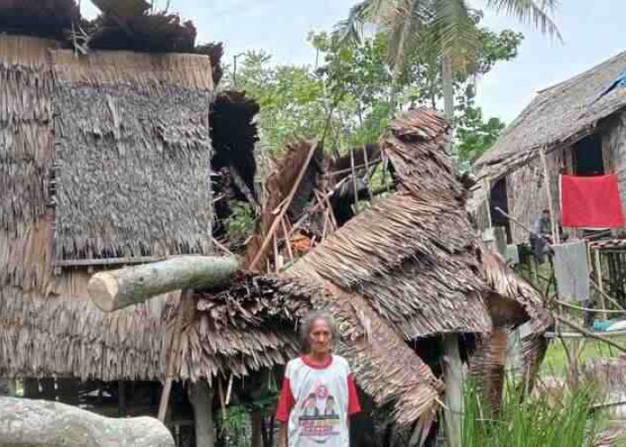 MIRIS! Rumah Reyot Nenek 76 Tahun di Ogan Ilir Ini Ditimpa Pohon Tumbang   