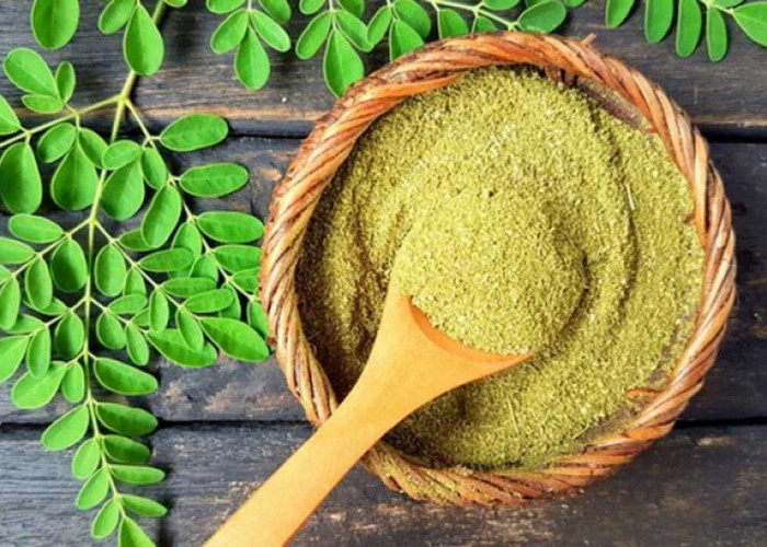 Bukan Daun Biasa! 4 Daun Herbal Ini Dipercaya Ampuh Jaga Kesehatan Tubuh