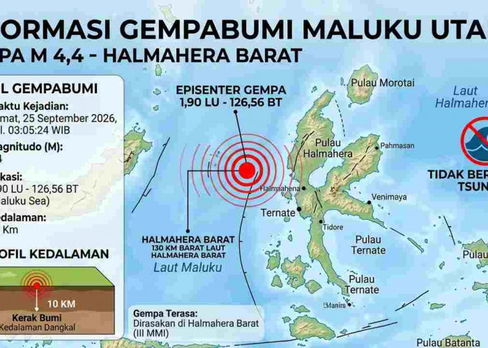 Halmahera Barat Diguncang Gempa M4,4 Dini Hari, Cek Lokasi Episentrum dan Kedalamannya