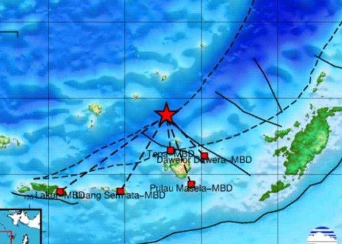 Pagi Ini Gempa 4.6 Magnitudo Guncang Maluku Barat Daya, Cek Update Terkini Pusat Gempa Regional IX Ambon