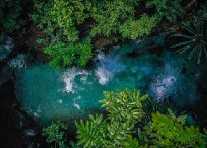 Sungai Paling Jernih di Indonesia, Surga Kecil yang Jatuh ke Bumi Alam Papua, Ini Wisata Air Wajib Dikunjungi!