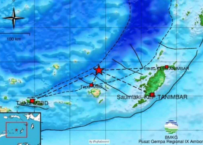 Update BMKG, Gempa 4.3 Magnitudo Guncang Maluku Barat Daya, Tak Berpotensi Tsunami