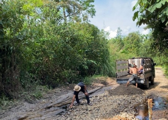 Kolaborasi Anggaran CSR, Pemkab Muba Perbaiki Jalan Antar Desa di Kecamatan Barang Hari Leko