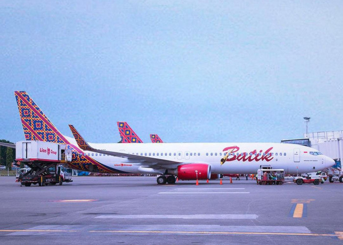 Ari Lasso Ngeluh Ditinggal Pesawat di Singapura, Batik Air Buka Suara  