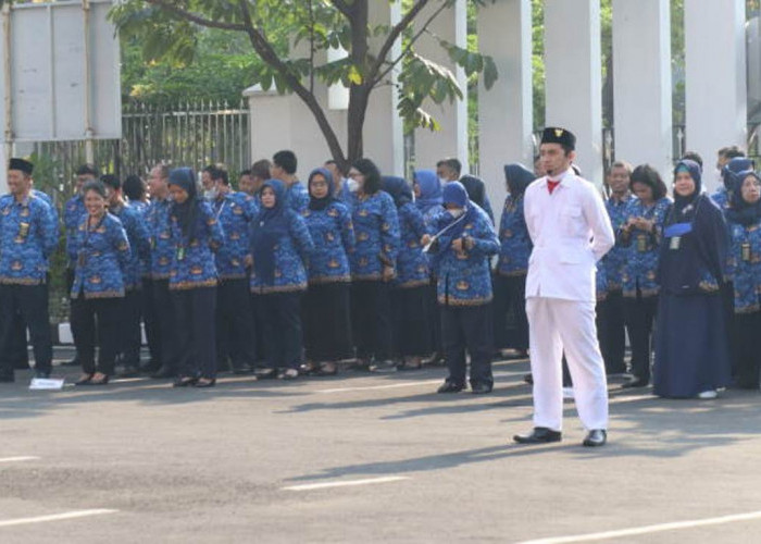 Afirmasi 2025 Berakhir, Hanya Honorer yang Rajin yang Selamat