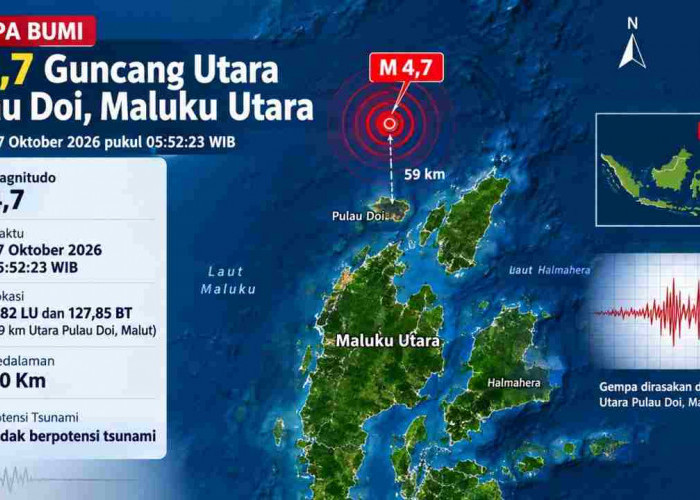 Gempa Magnitudo 4,7 Guncang Pulau Doi Pagi Ini, Cek Kedalaman dan Episentrumnya