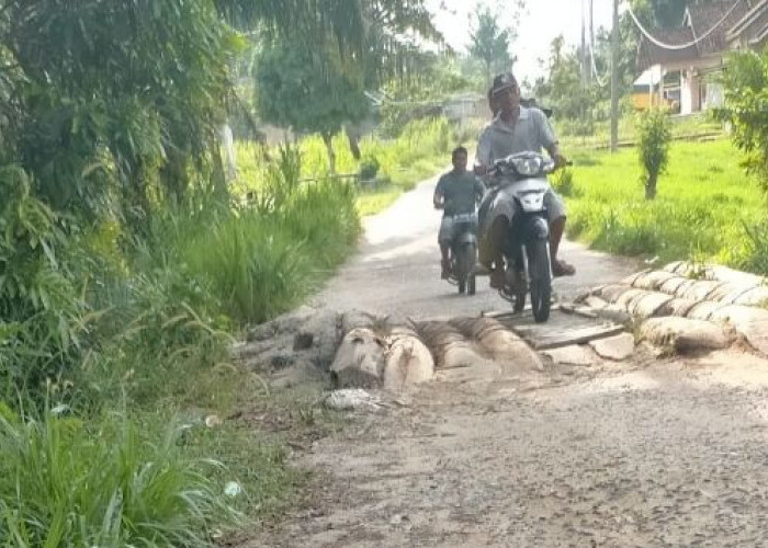 Miris Banget, Jembatan Penghubung Desa di OKU Timur Pakai Batang Kelapa 