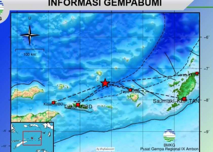 Siang Ini Gempa Terjadi di Maluku Barat Daya, Kekuatannya 4.5 M, Cek Episentrum dan Kedalamannya