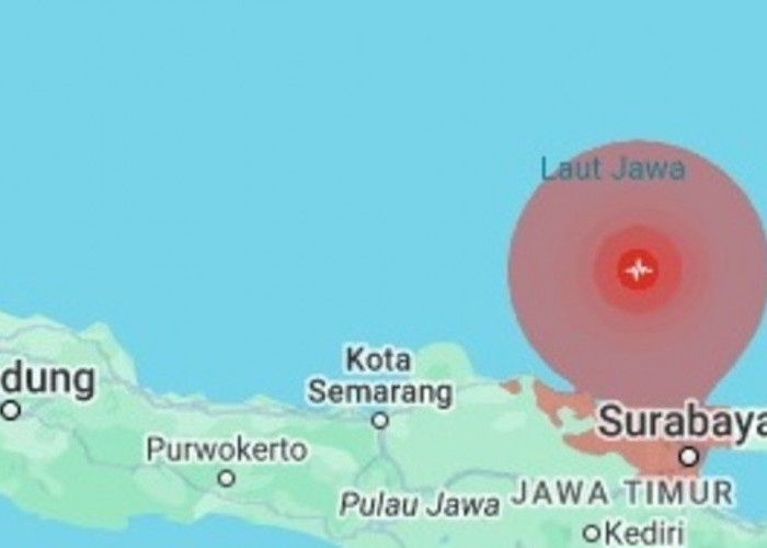 Gempa M 6,5 Guncang Tuban, Dampak Kerusakan di Pulau Bawean, BMKG: Tidak Berpotensi Tsunami 