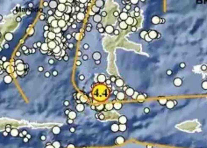 Pagi Ini Gempa 4.4 Magnitudo Guncang Labuha Maluku Utara