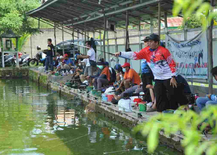 Jangan Salah Umpan! Ini Cara Ampuh Mancing Patin di Kolam Biar Strike Terus