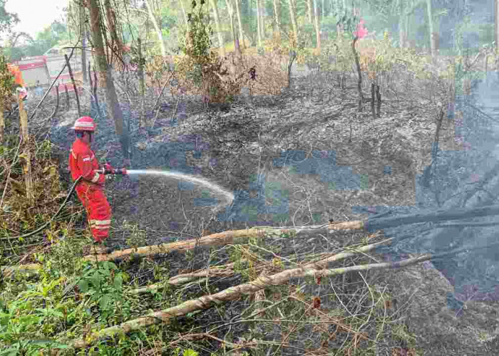 Respon Cepat! PHR Zona 4 Padamkan Lebih dari 100 Titik Api Karhutla Sumsel