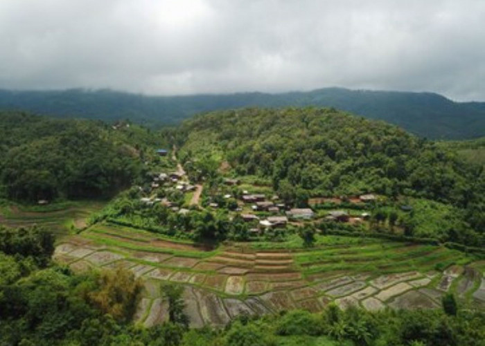 Inilah Kampung Terpencil Paling Mujur di Pelosok Sulawesi Barat, Anggaran Dana Desa Cair Rp1,35 Miliar