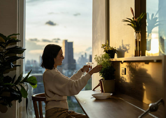 9 Rahasia Tanaman Indoor Tetap Subur Meski Minim Cahaya Matahari