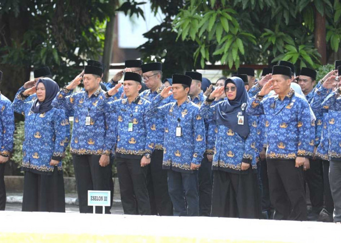 Sudah Lulus PPPK Tapi Tak Diangkat? Cek 6 Syarat Resmi dari BKN Ini!