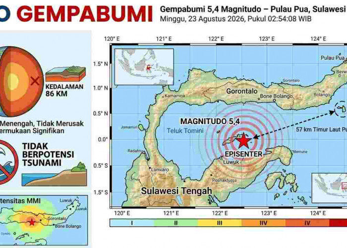 Gempa Magnitudo 5,4 Guncang Pulau Pua Sulteng Dini Hari, Disusul Getaran Beruntun di NTT