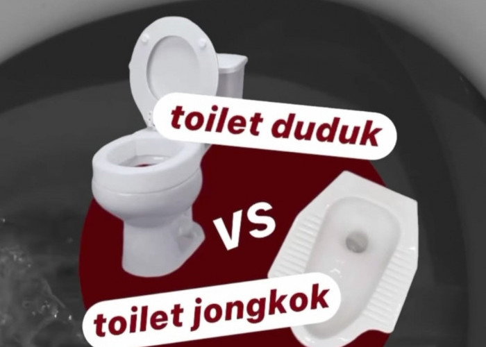 Pilih Toilet Duduk atau Jongkok, Toilet Duduk Memang Lebih Nyaman, Tapi Bisa Menyebabkan Resiko Ambeien?